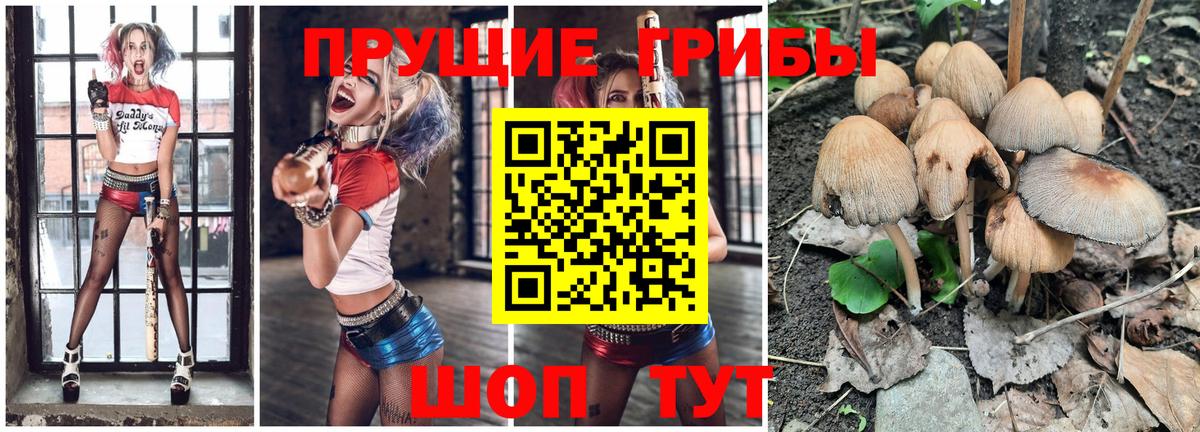 Псилоцибиновые грибы мухоморы  Вход с VPN  Узловая 
