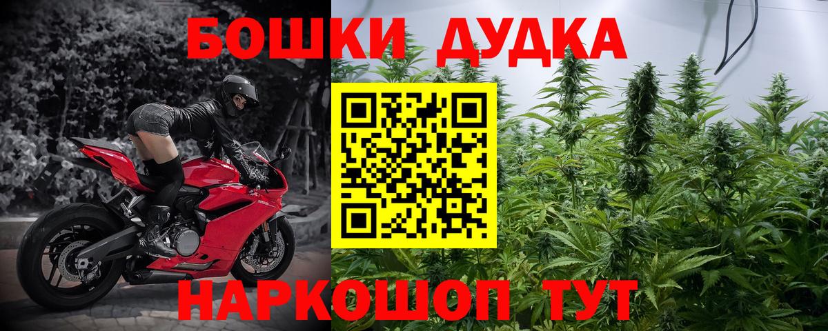 Узловая  Конопля ГИДРОПОН  Канабис THC 21%  Вход с VPN  Канабис сатива 